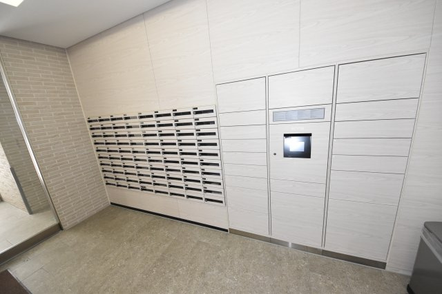 セイシア大拓26