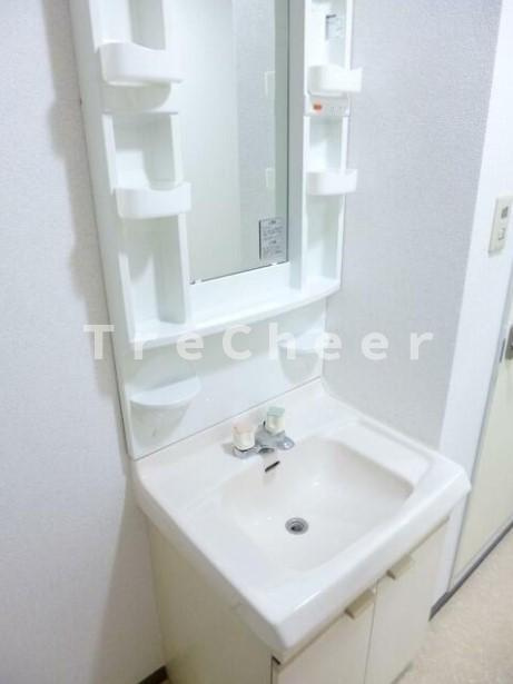 グレース飯島の洗面所