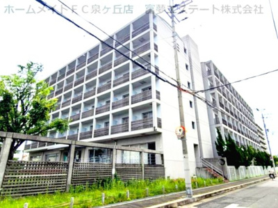 【外観】 | エルベコート泉大津