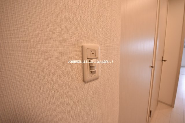 レジュールアッシュウエストレジス