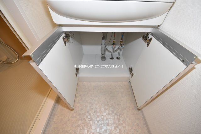 レジュールアッシュウエストレジス