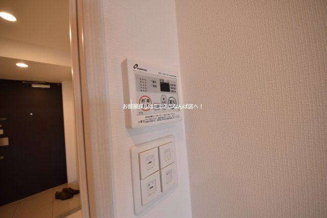 レジュールアッシュウエストレジス