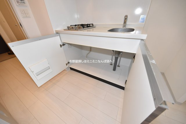 レジュールアッシュウエストレジス