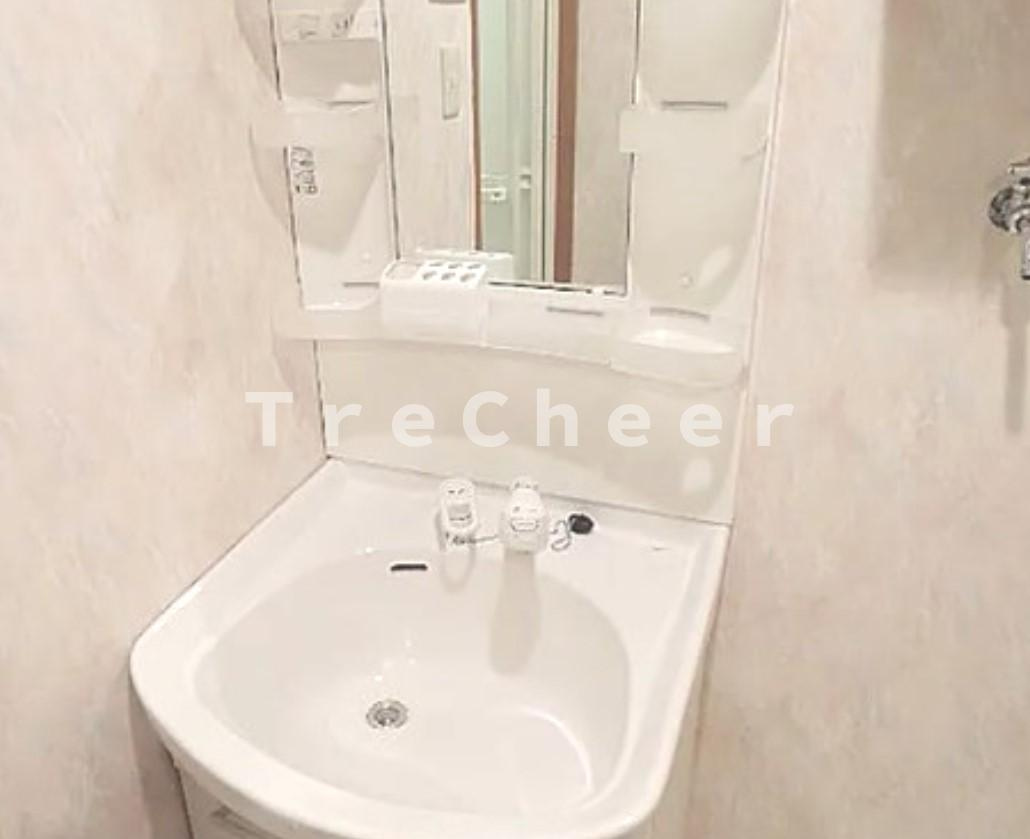 パラドール常盤5の独立洗面台