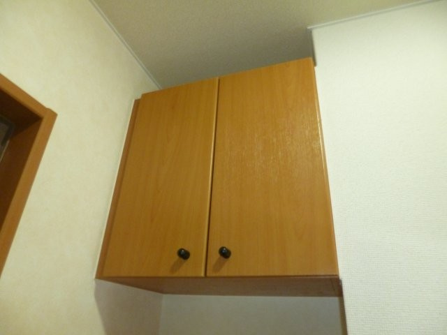 ラピス　メドゥーのその他共用部分|自転車置き場