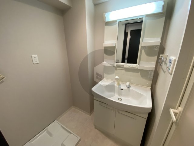 グランコートヒグチの洗面所