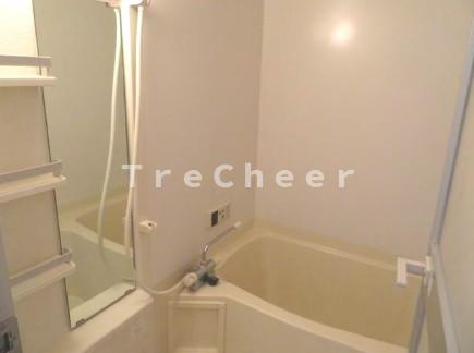 ロワジール向山Eの浴室