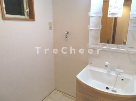 ロワジール向山Eの独立洗面台