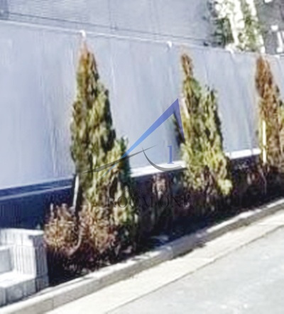 カーサ・プリマベーラ