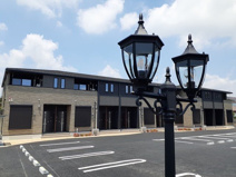 セラリーレイスの画像