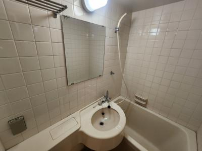 デイスターアベニューの洗面所