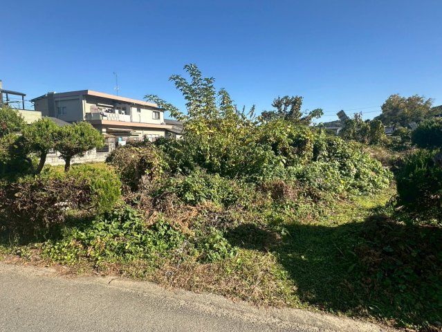 土居町中村　売土地の外観