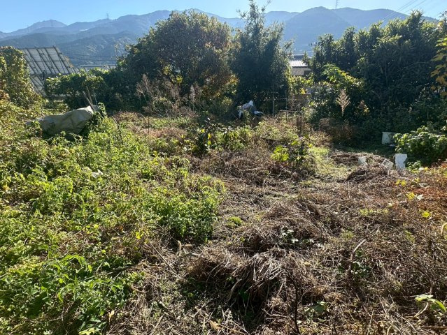 土居町中村　売土地の外観