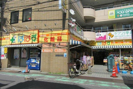 どらっぐぱぱす平井駅前店