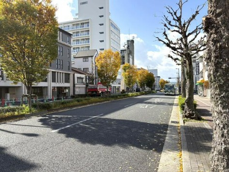 【前面道路含む現地写真】 | S11992-葵