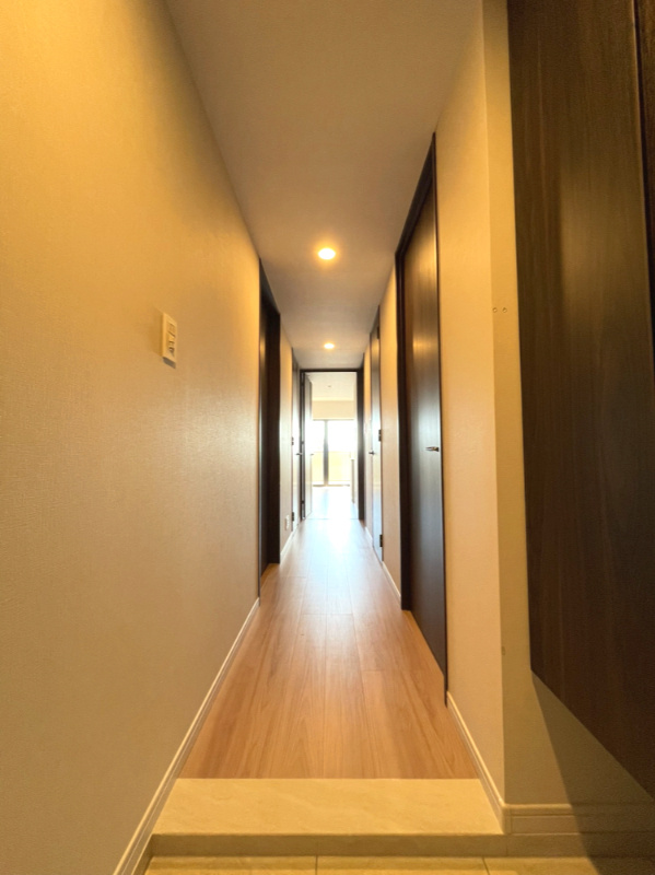 ブランシエラ鹿児島の玄関|玄関からお部屋を見た様子です。