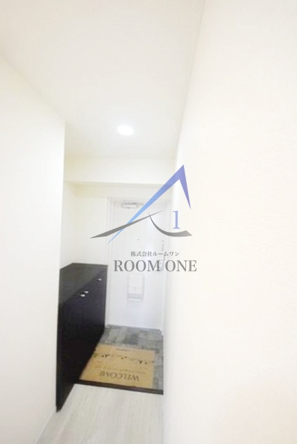 グランドマンション金子の玄関|玄関です。