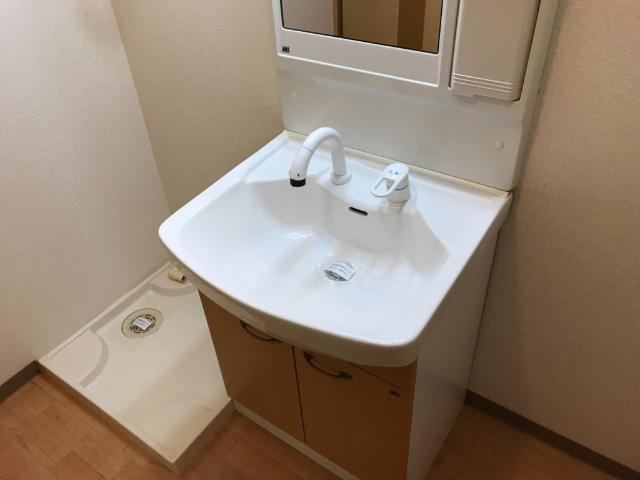 グリーングラス壱番館の洗面所|シャンプードレッサー