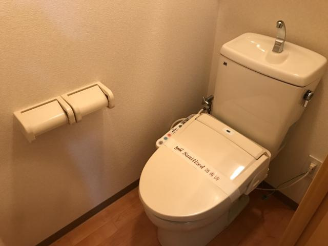 グリーングラス壱番館のトイレ|シャワー付トイレ