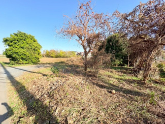 【外観】 | 鶴ヶ島市脚折　建築条件なし売地　東武越生線『一本松駅』徒歩21分　【第一小学区】