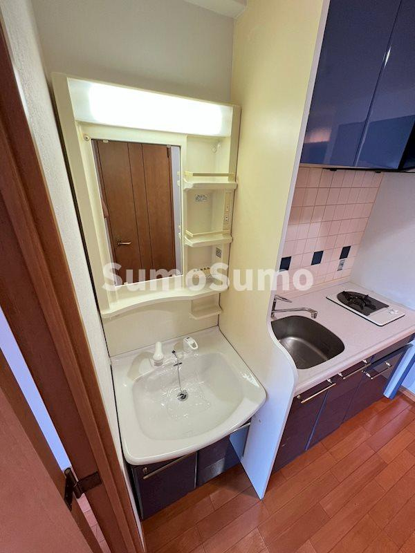 プレサンス難波OCAT前の洗面所