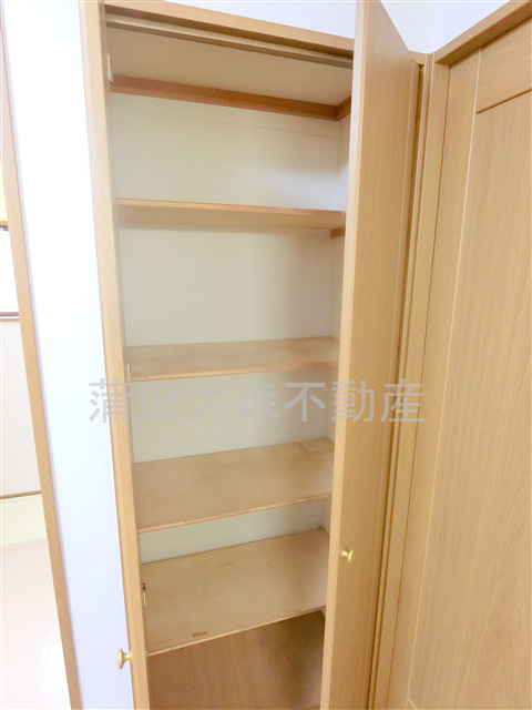 ルミナーレ東蒲田の収納|洋室入口の棚収納