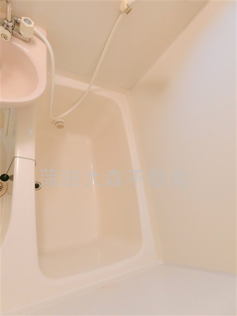 ルミナーレ東蒲田の浴室