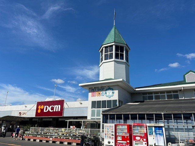 モーデ　エイチの周辺|DCMダイキ　川内店まで1000m