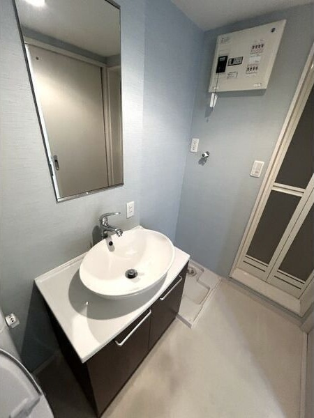 ベーネ二瀬町の洗面所