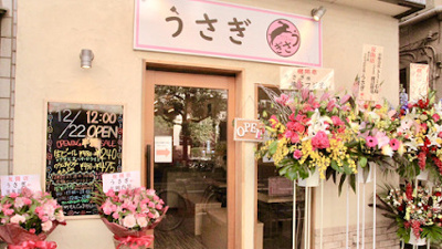 【周辺】 | ウィロウコートC