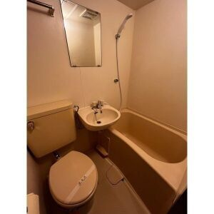 ダイアパレス上野の浴室