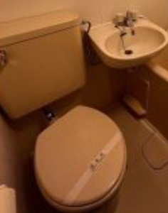 ダイアパレス上野のトイレ