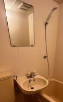 ダイアパレス上野の洗面所