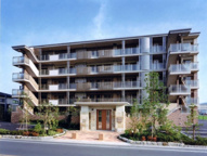 ステラエクレールの画像