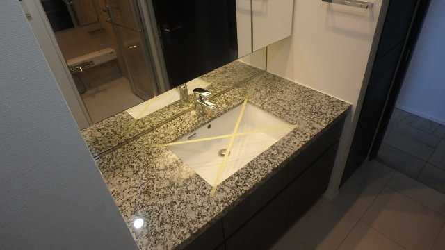 ブランズ文京白山の洗面所