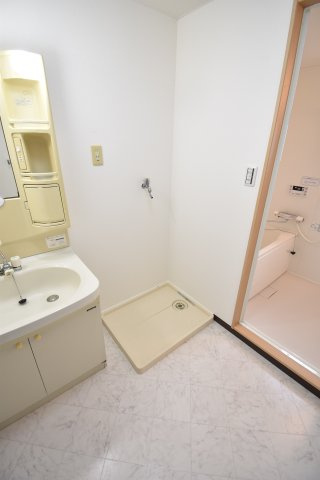 ラセーヌ大北の洗面所