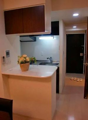 【内装】 | エステムプラザ神楽坂North Residence | 内装もきれいです