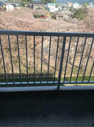 シャトレ新町【キャッシュバック対象物件】のバルコニー