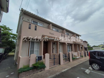 レガーロスワンの画像