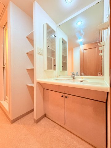 アルファステイツ朝霧丘の洗面所