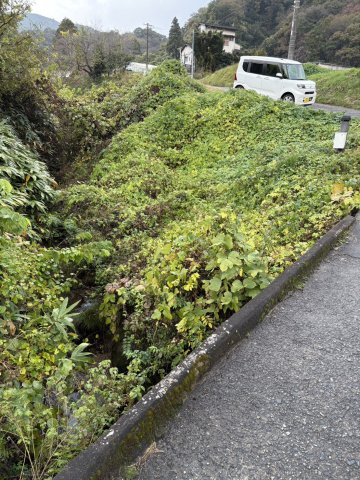 【前面道路含む現地写真】 | 西畑　資材置き場用地 | 763ー3の全景です。