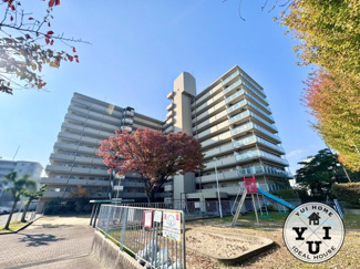 【外観】 | 丹波橋日光ハイツ | 最寄り駅は京阪『丹波橋駅』徒歩13分です。