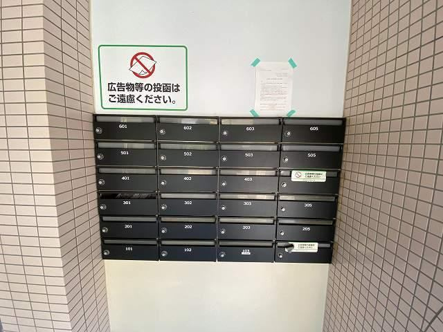  | エレガンス11