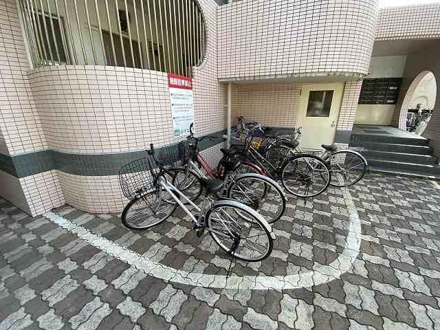  | エレガンス11