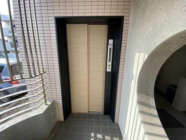  | エレガンス11