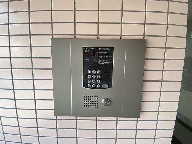 | エレガンス11