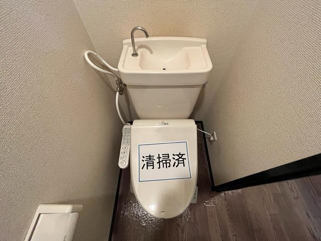  | エレガンス11