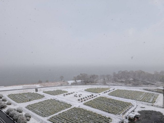  | 琵琶湖アーバンリゾートⅢ番館