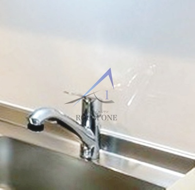 Ｌａ ｖｉｔａ ｒｉｃｃａ