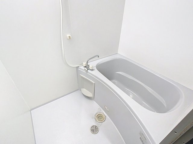 ヴェルドミール・Fの浴室